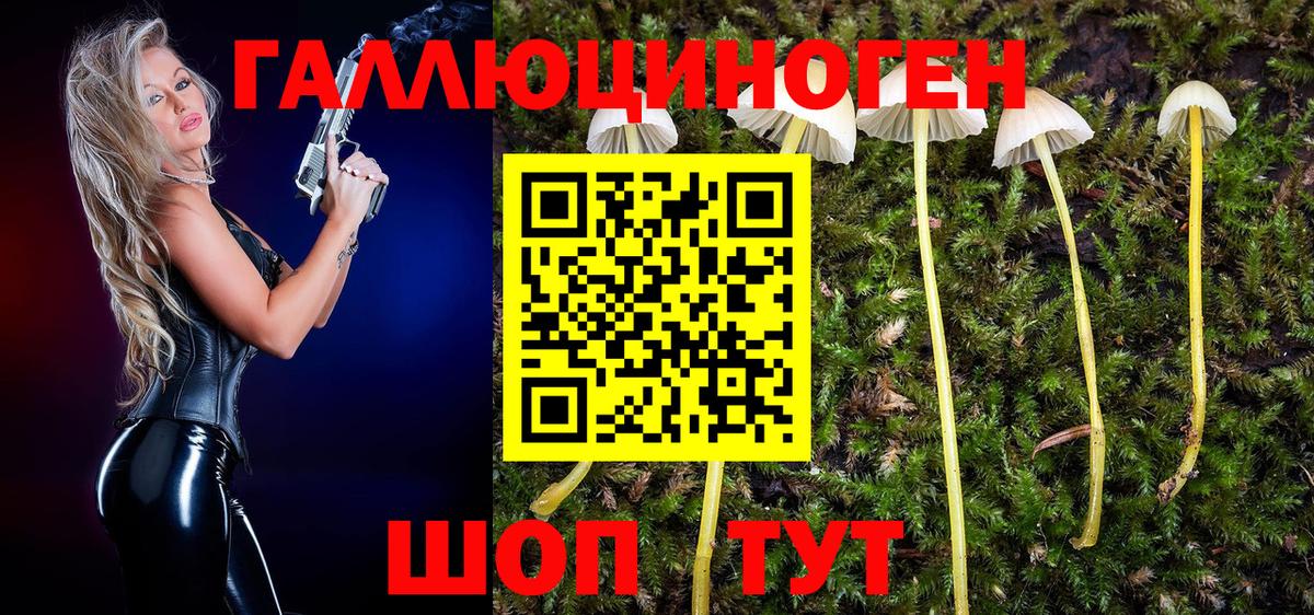 где можно купить наркотик  Псилоцибиновые грибы мухоморы  Вход с VPN  Карталы 